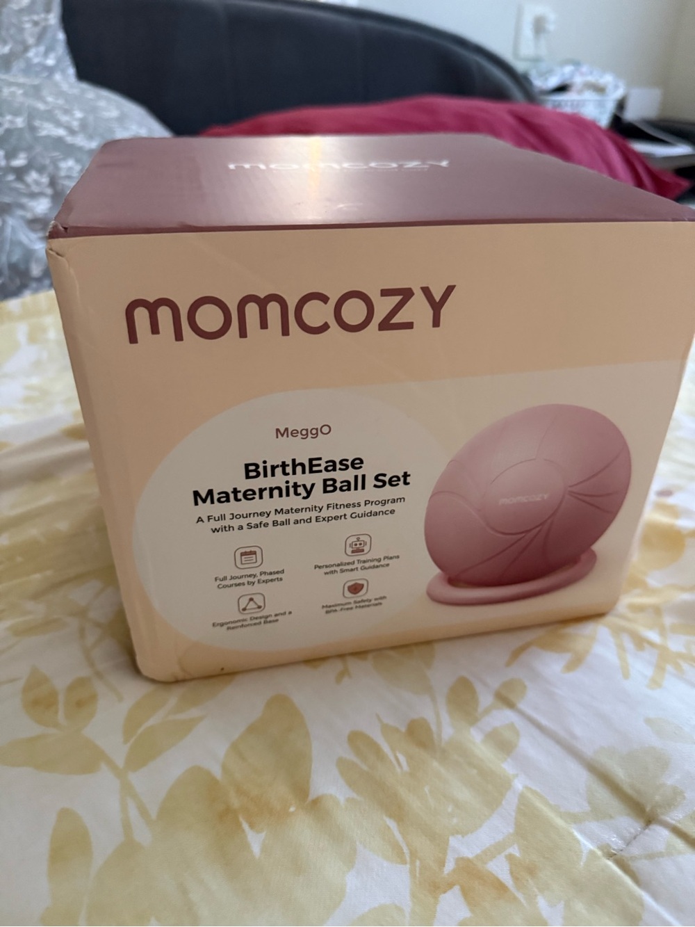 MOMCOZY BirthEase Pink Maternity Ball Set